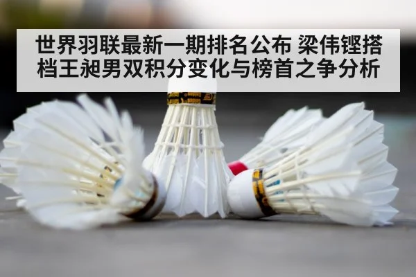 badminton shuttlecock court